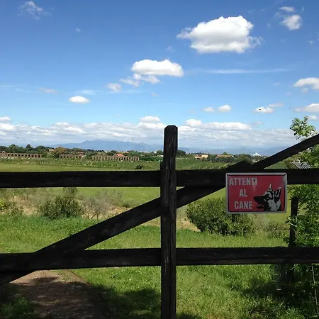 旅馆罗马住宿加早餐酒店 住宿加早餐酒店 4*