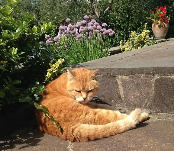 Inn Rome B&B Nocleg ze śniadaniem