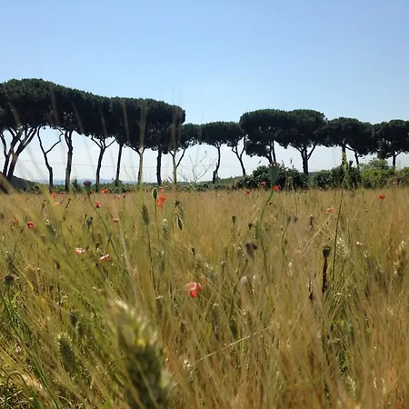 Inn Rome B&B 4*